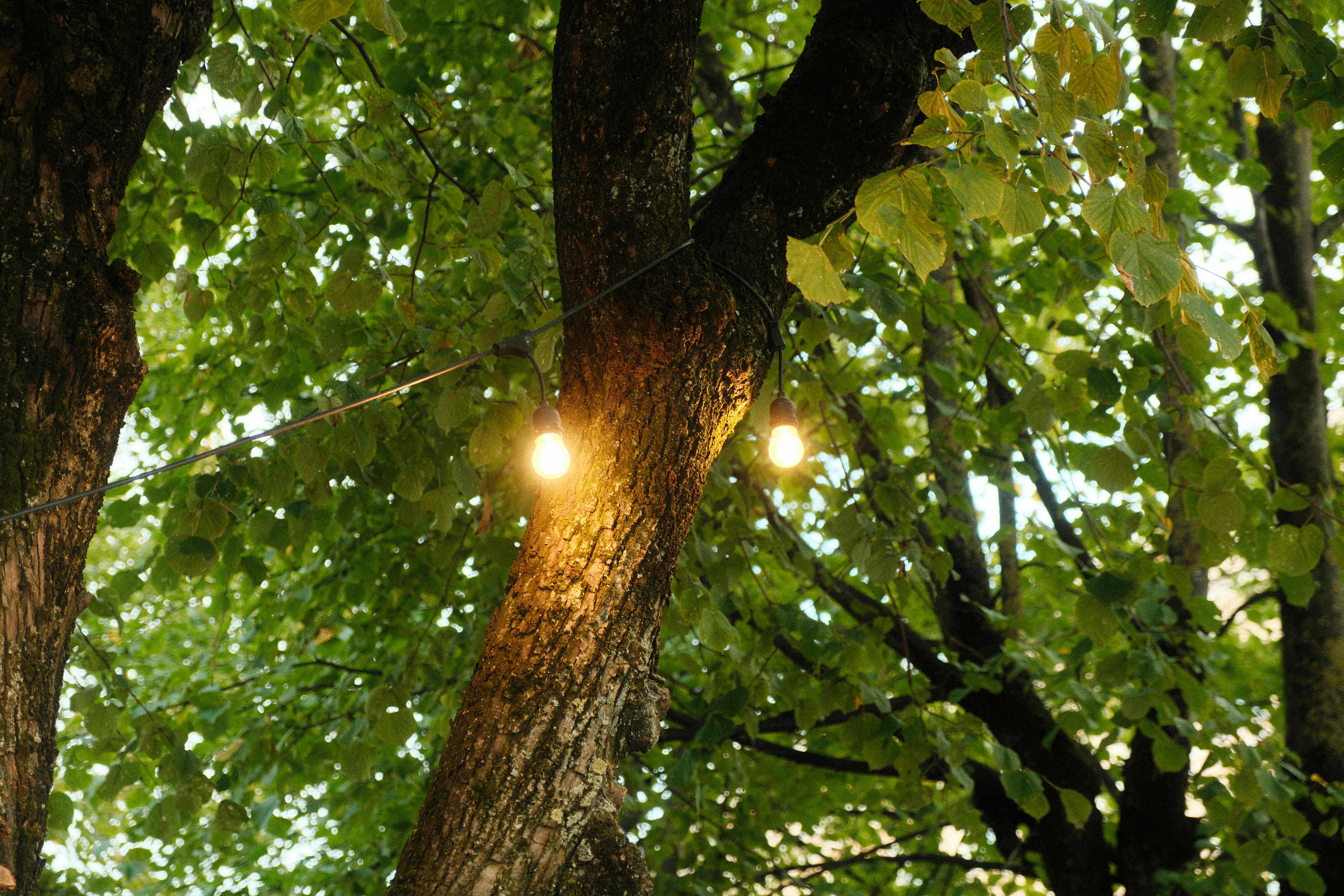 Groep mensen in de natuur